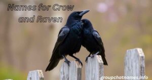Names for Crow and Raven